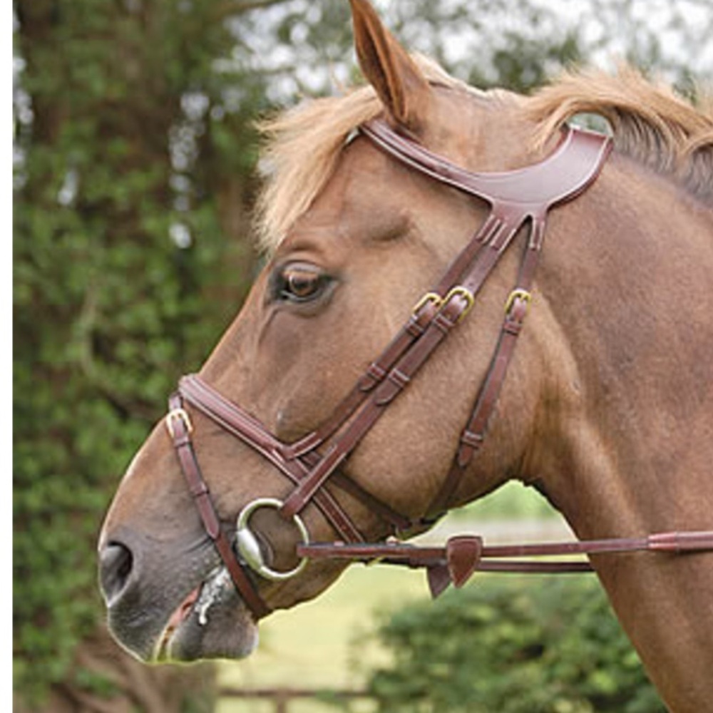 Brown Leather Horse Bridle